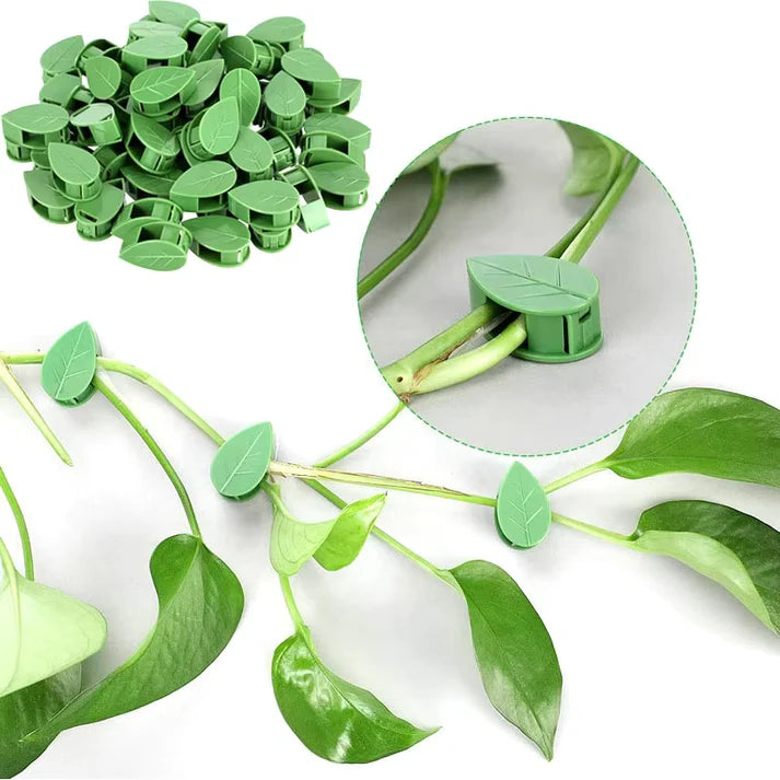 10pc Leaf Shape Plant Holder