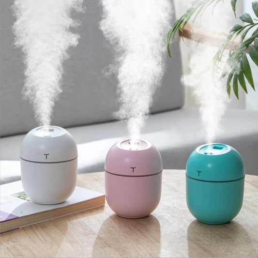 Air Purifier With Humidifier
