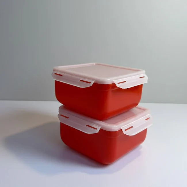 Fresh & Convenient 2 Piece Snack & Food Containers