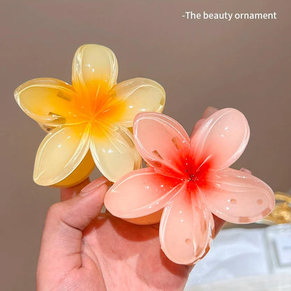 3Pcs Flower Hair Clip
Health and Beauty 