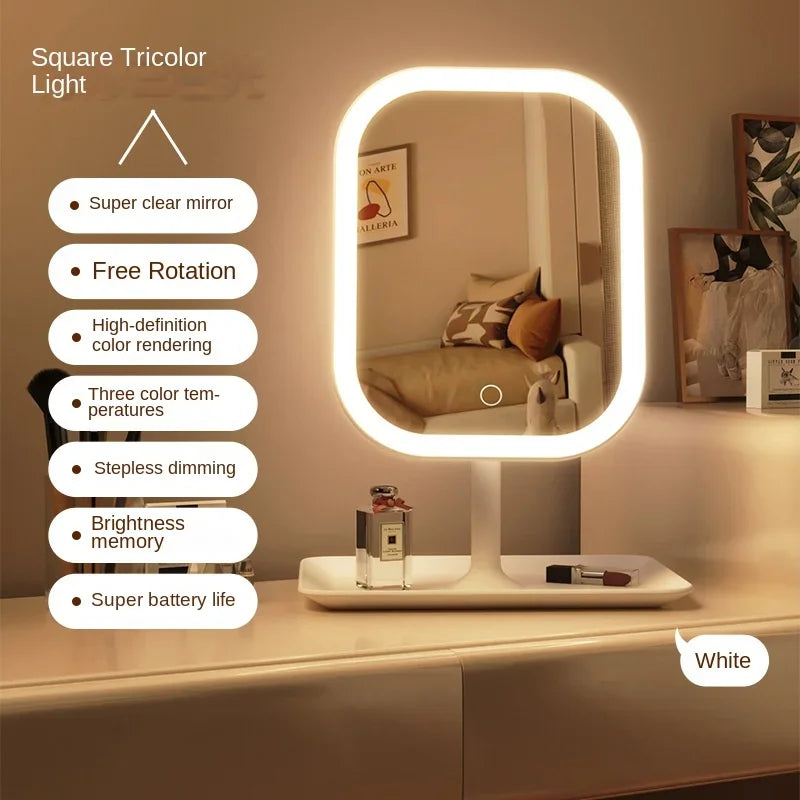 Makeup Mirror With Rechargeable LED Light