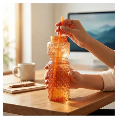 Portable Leakproof Water Bottle With Straw (500ml)