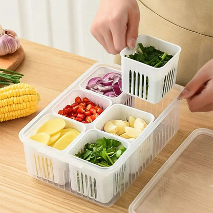 6 Grid Refrigerator Drain Storage Box